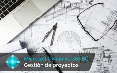 Gestión de proyectos y recursos